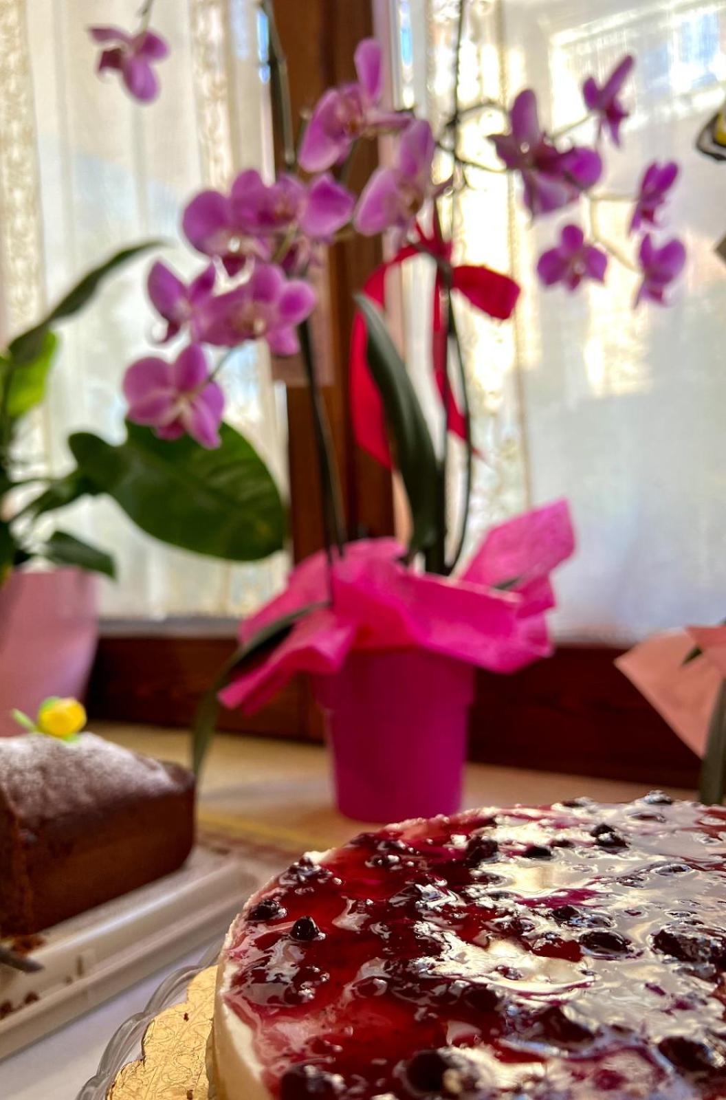 Il Ritrovo Delle Volpi Bed & Breakfast Agerola Luaran gambar