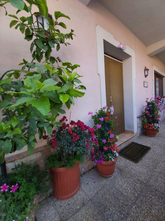 Il Ritrovo Delle Volpi Bed & Breakfast Agerola Luaran gambar